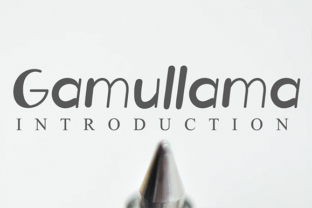 Gamullama: A Display Font with Warmth and Character